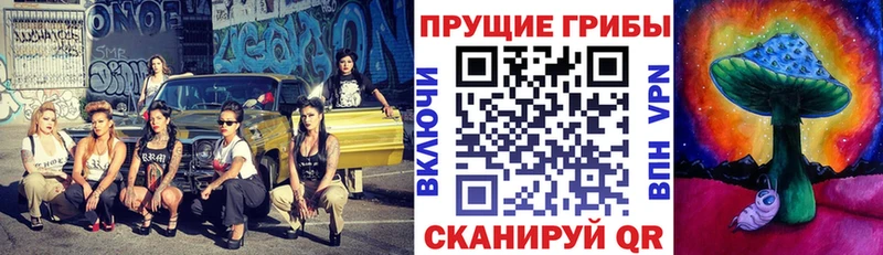 Купить где  Мещовск  Галлюциногенные грибы Psilocybine cubensis 