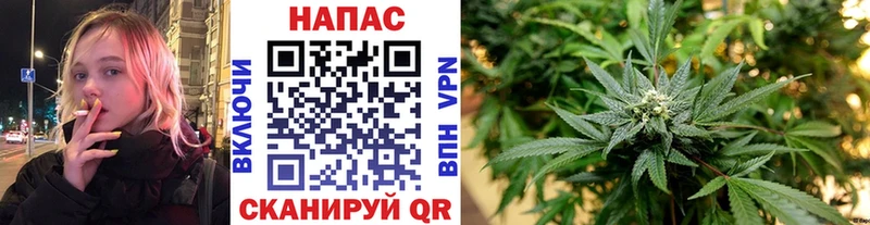 Купить  Мещовск  МАРИХУАНА Ganja 